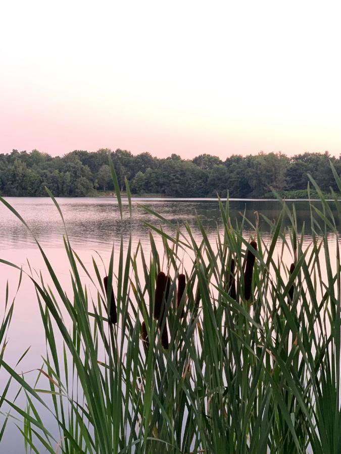 Ferienhaus Seestern Am Harkebruegger See Mit Sauna Und Kamin Barssel  Zewnętrze zdjęcie