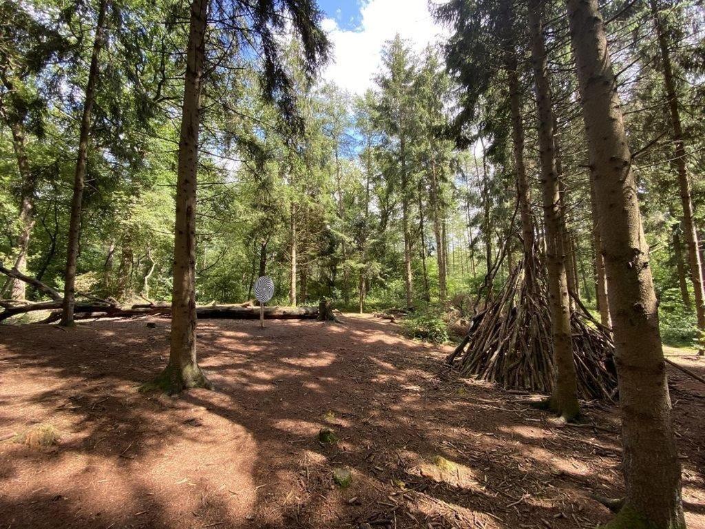 Ferienhaus Seestern Am Harkebruegger See Mit Sauna Und Kamin Barssel  Zewnętrze zdjęcie